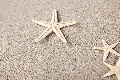 卡普空将于下个月在Steam上下架三款游戏